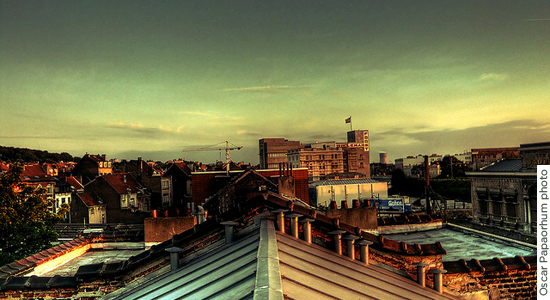 Overlooking Brussels Living Language Brussels Image