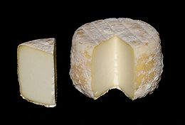 260px-Crottin_de_Chavignol